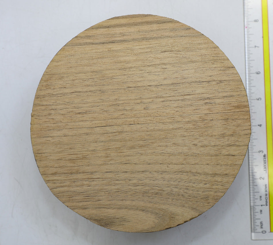 Walnut (Butternut) Round 7" diameter x 2.8" - Stock# 6-1712