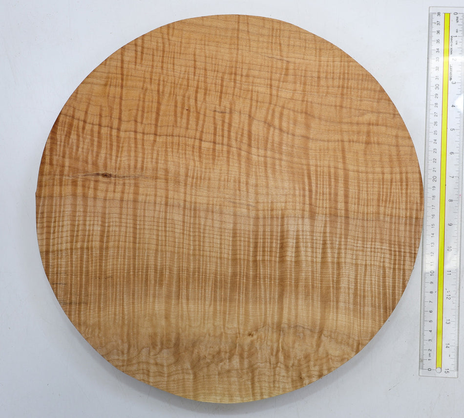 Maple Round 15" diameter x 2" - Stock# 6-1718