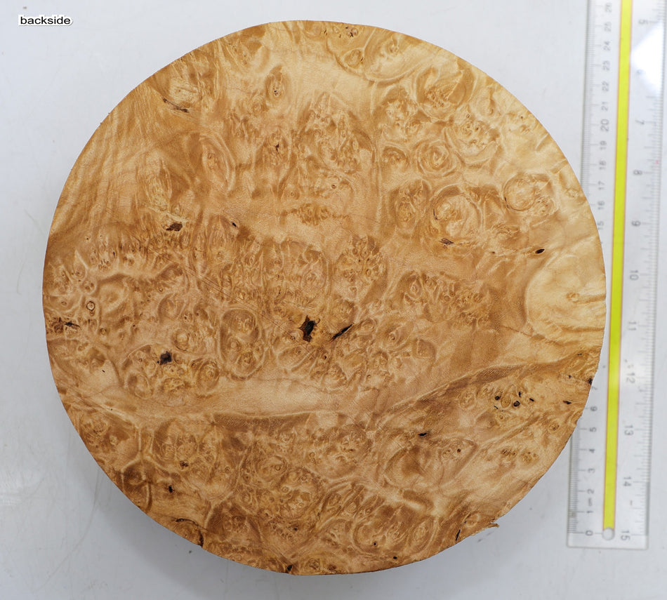 Maple Burl Round 8.75" diameter x 3.3" (PREMIUM FIGURE) - Stock# 6-1720