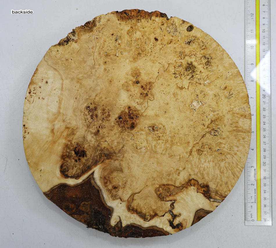 Cottonwood Burl Round 12" diameter x 1.86" (HIGH FIGURE) - Stock# 6-1732