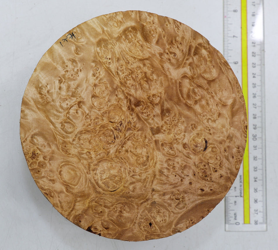 Maple Burl Round 7" diameter x 3.3" (PREMIUM FIGURE) - Stock# 6-1771