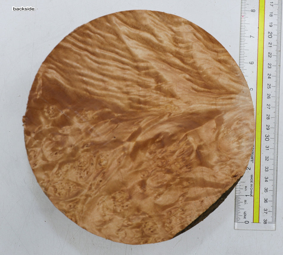 Maple Burl Round 7" diameter x 3.3" (PREMIUM FIGURE) - Stock# 6-1771