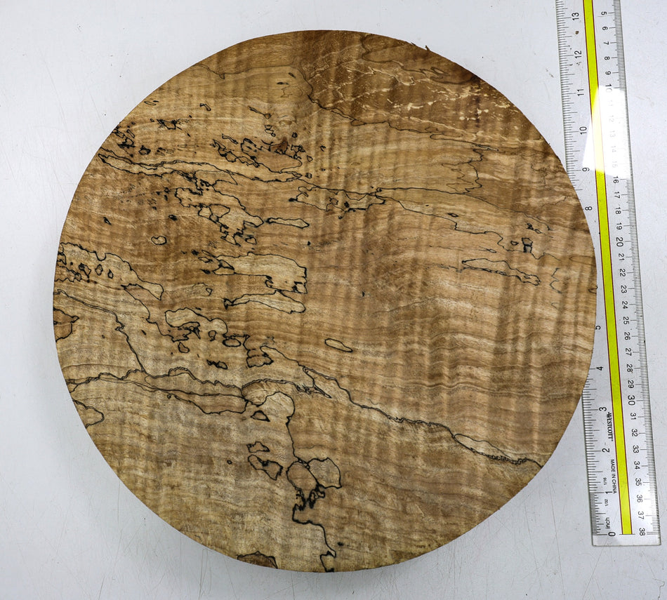 Spalted Maple Flame Round 12" diameter x 3" (HIGH FIGURE) - Stock# 6-1838