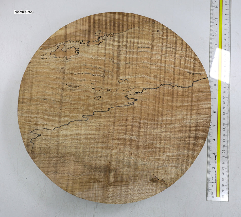 Spalted Maple Flame Round 12" diameter x 3" (HIGH FIGURE) - Stock# 6-1838