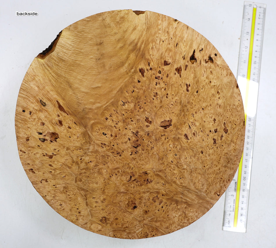 Maple Burl Round 12.5" diameter x 3.2" (PREMIUM FIGURE) - Stock# 6-1840