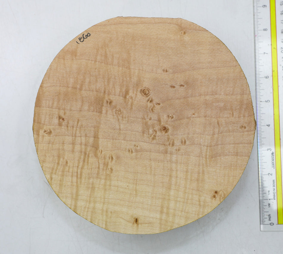 Maple Flame Round 8" diameter x 2.85" - Stock# 6-1860