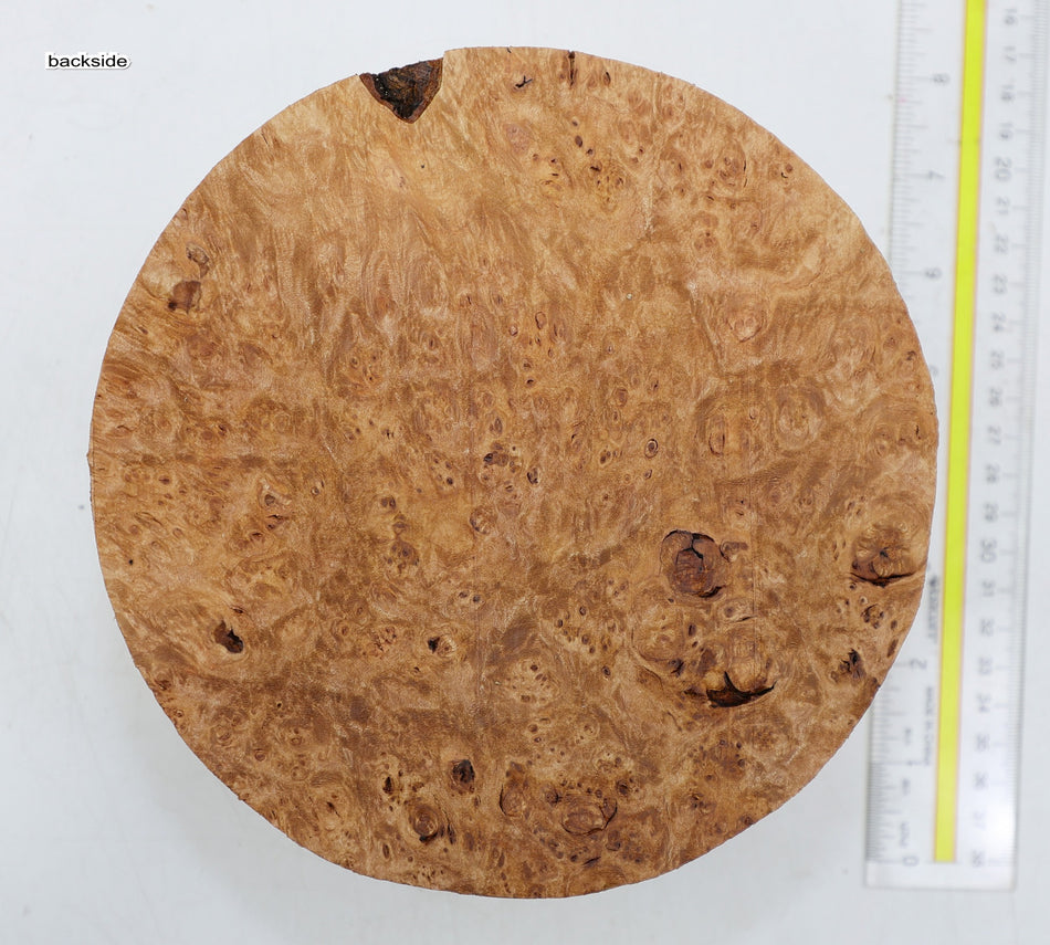 Maple Burl Round 7" diameter x 3.2" (PREMIUM FIGURE) - Stock# 6-1861