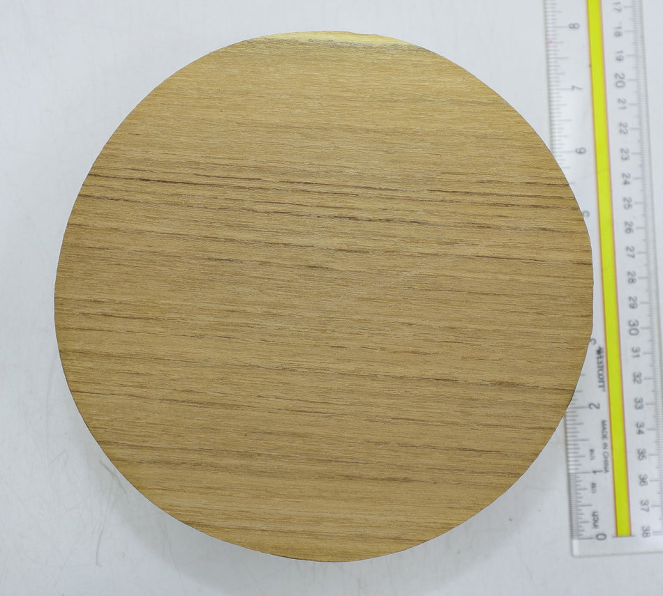 Oak Round 7" diameter x 2.4" - Stock# 6-1874