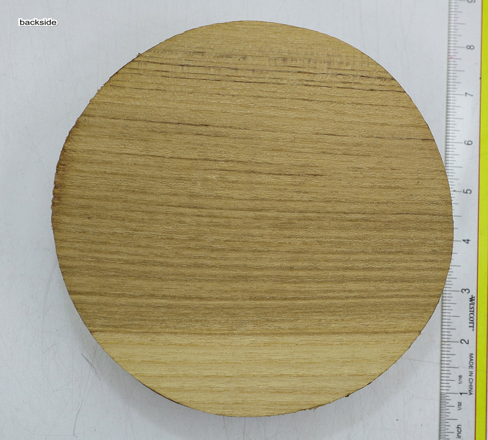 Oak Round 7" diameter x 2.4" - Stock# 6-1874