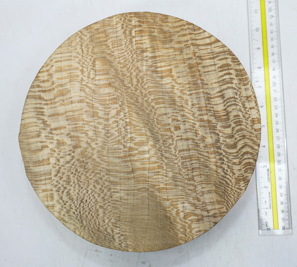 London Plane Round 10" diameter x 3.6" (HIGH FIGURE) - Stock# 6-1945