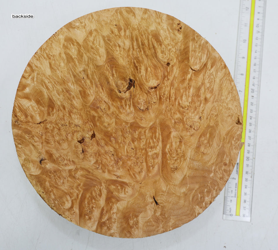 Maple Burl Round 11" diameter x 3.3" (PREMIUM FIGURE) - Stock# 6-1959