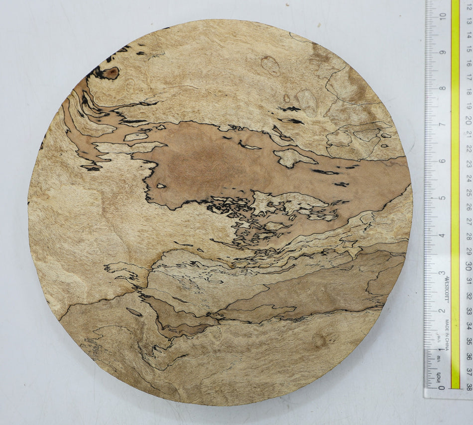 Spalted Maple Round 9.5" diameter x 1.9" (HIGH FIGURE) - Stock# 6-1976