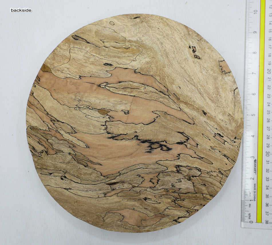 Spalted Maple Round 9.5" diameter x 1.9" (HIGH FIGURE) - Stock# 6-1976