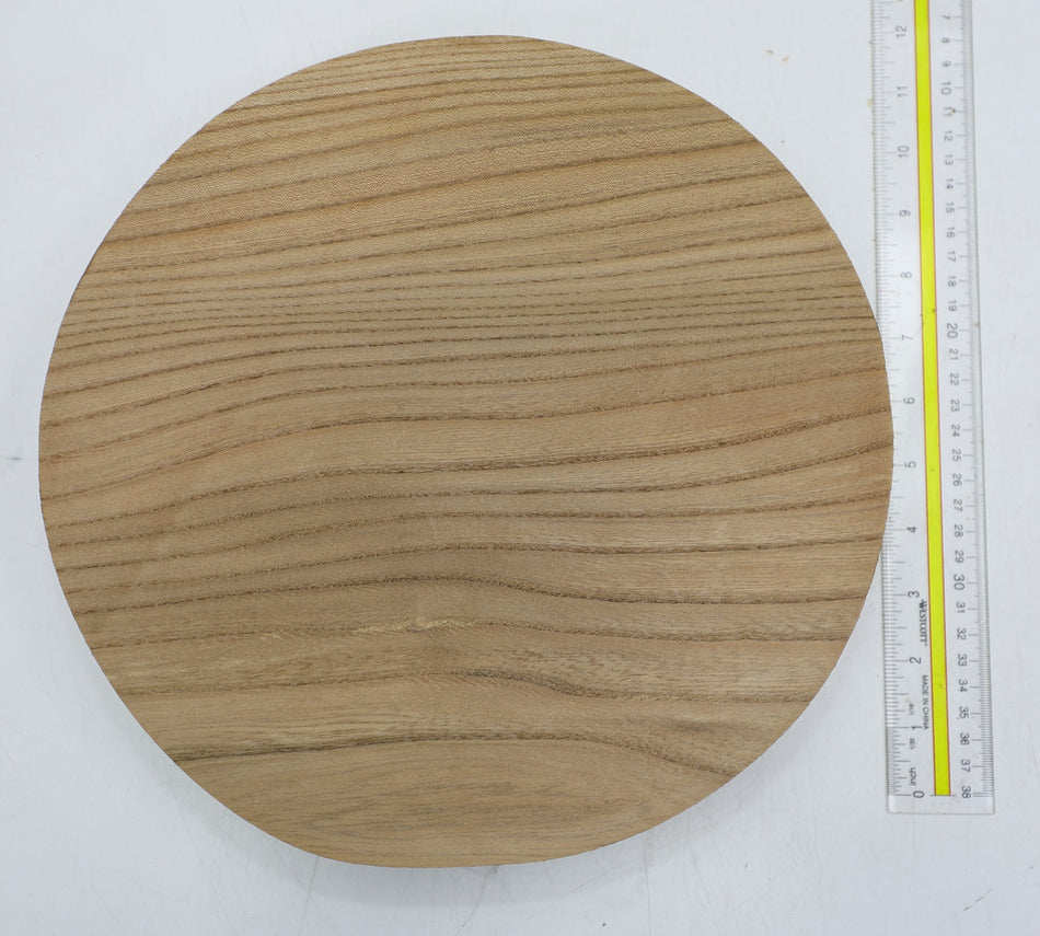 Red Elm Round 11.5" diameter x 2.5" - Stock# 6-1977