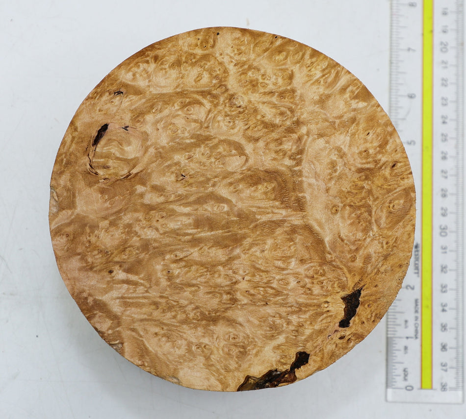 Maple Burl Round 6" diameter x 4" (HIGH FIGURE) - Stock# 6-1980