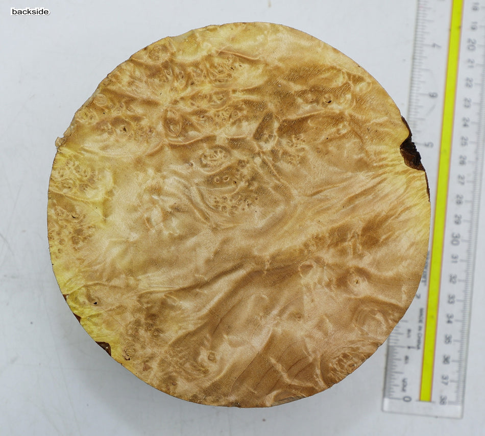 Maple Burl Round 6" diameter x 4" (HIGH FIGURE) - Stock# 6-1980