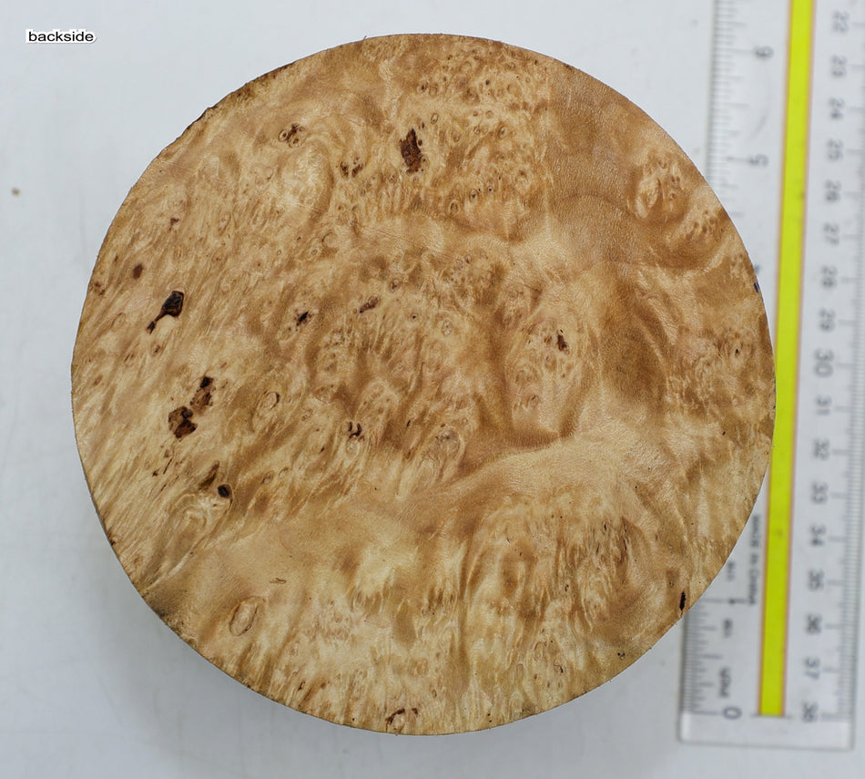 Maple Burl Round 5" diameter x 3.2" (HIGH FIGURE) - Stock# 6-1981