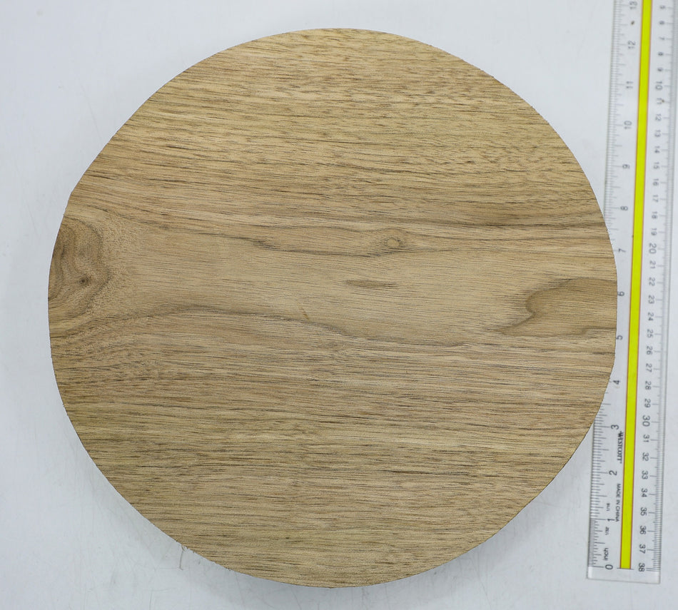 Walnut (Butternut) Round 10.7" diameter x 2.9" - Stock# 6-1993