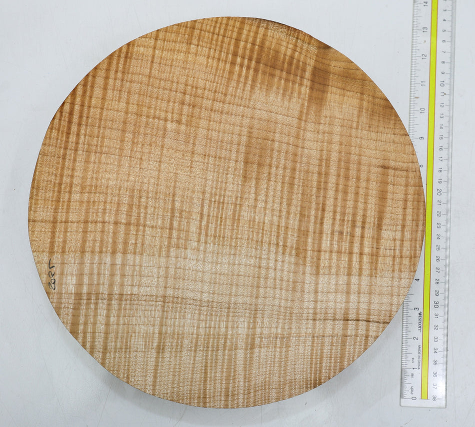 Maple Flame Round 12" diameter x 2.3" (HIGH FIGURE) - Stock# 6-2025