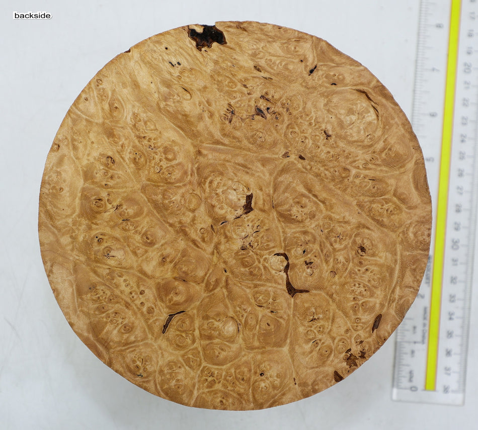 Maple Burl Round 7" diameter x 3.3" (PREMIUM FIGURE) - Stock# 6-2027