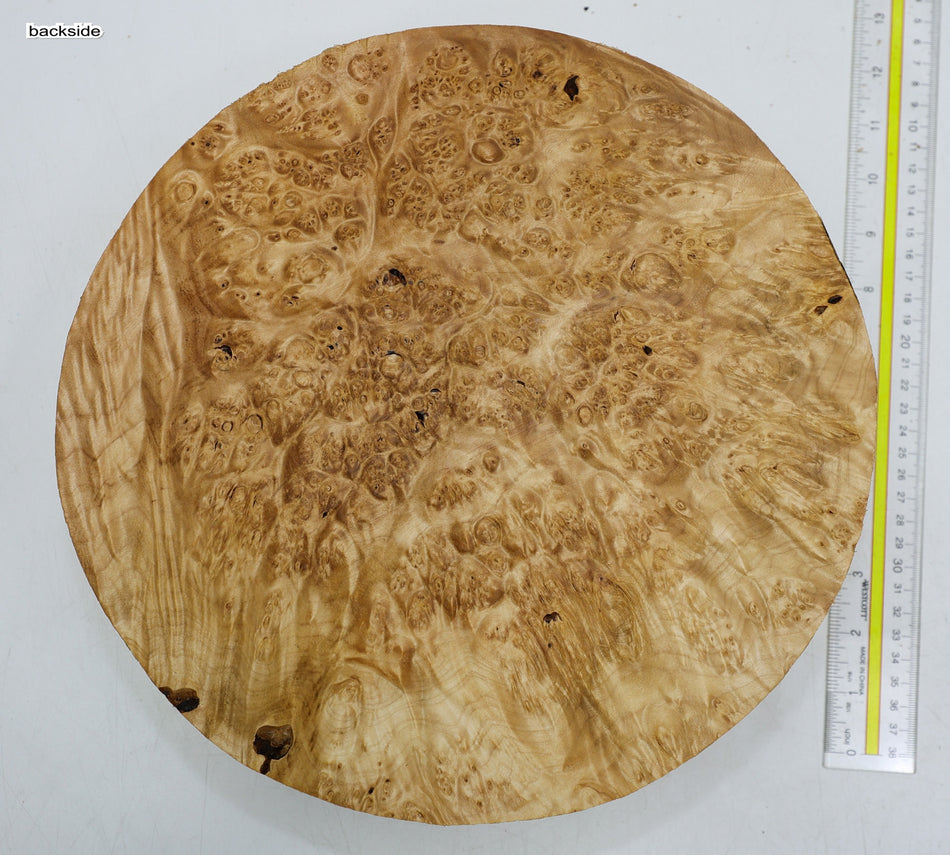 Maple Burl Round 11.5" diameter x 3" (PREMIUM FIGURE) - Stock# 6-2028