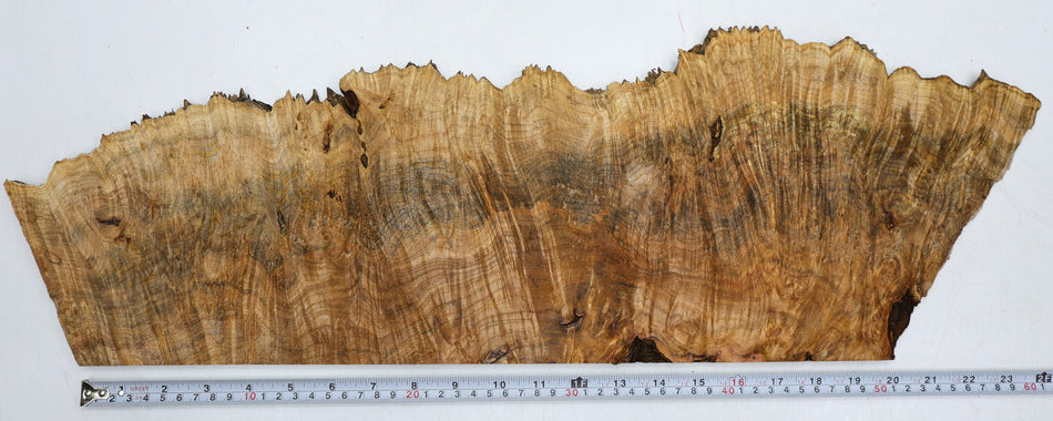 Maple Burl block 26" x 8" x 0.5" (GREAT FIGURE) - Stock# 6-2052