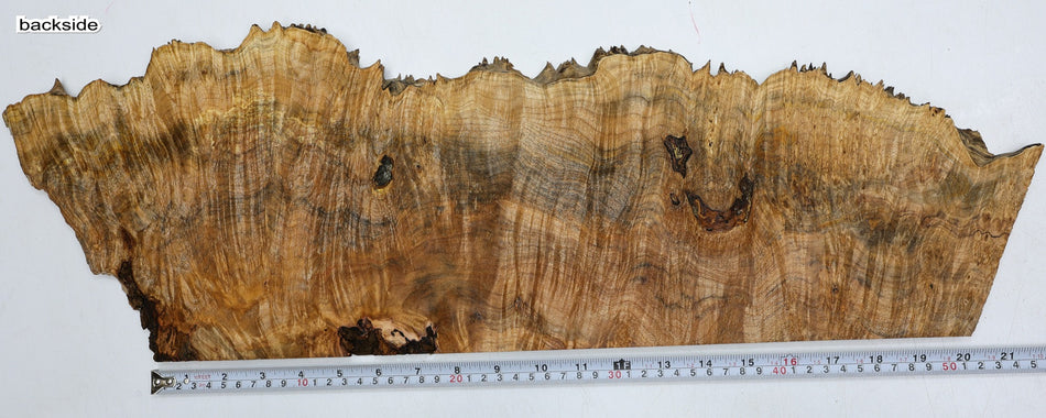 Maple Burl block 26" x 8" x 0.5" (GREAT FIGURE) - Stock# 6-2052