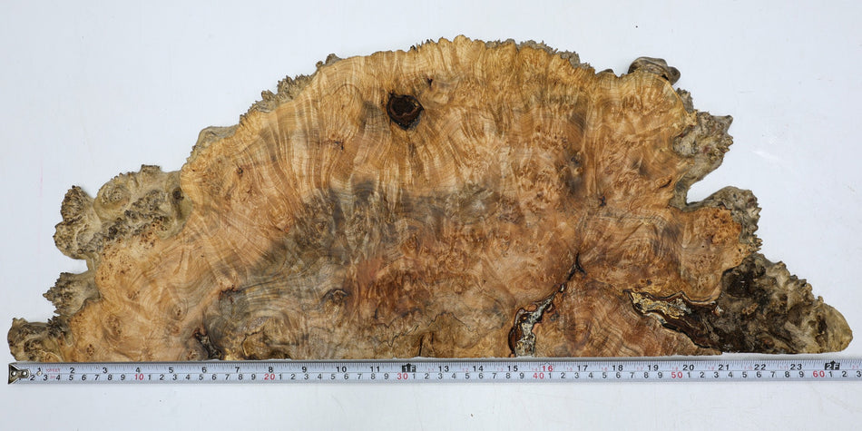 Maple Burl block 25" x 9" x 1.2" (HIGH FIGURE) - Stock# 6-2176