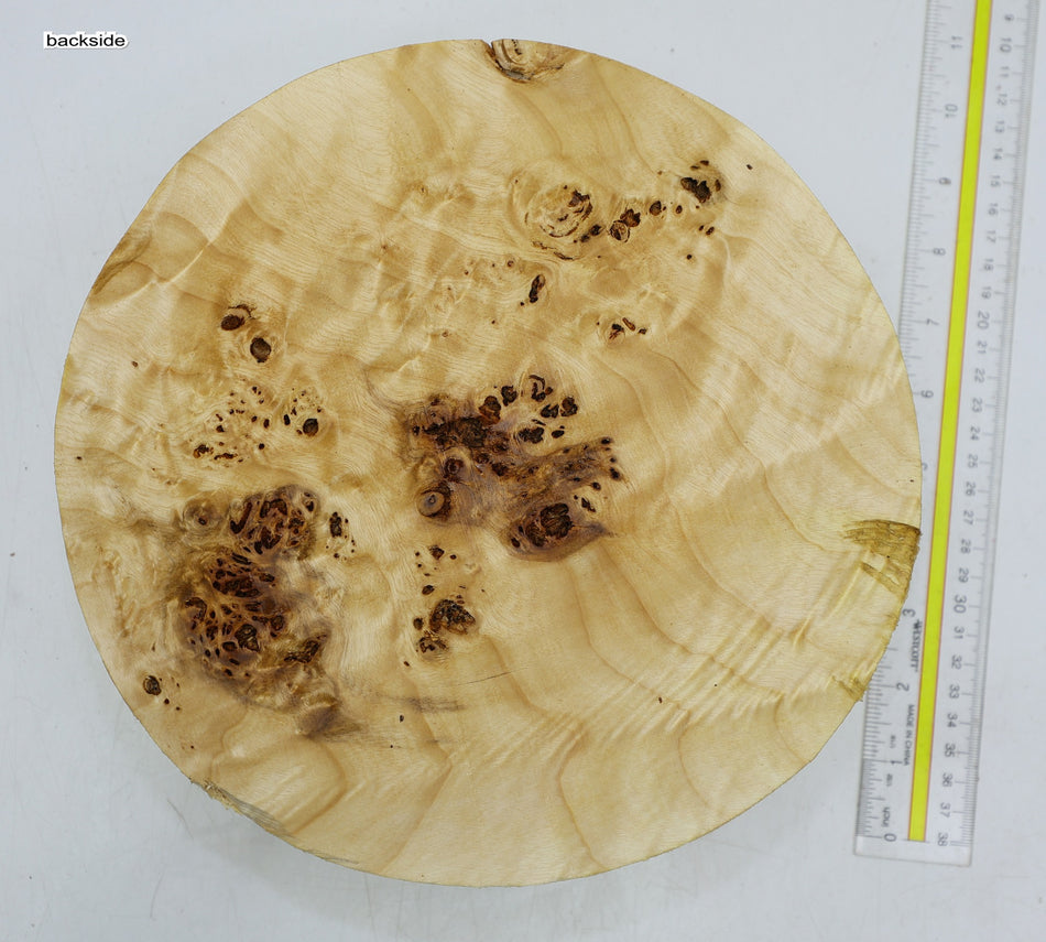 Cottonwood Burl Round 10" diameter x 3.2" - Stock# 6-2268