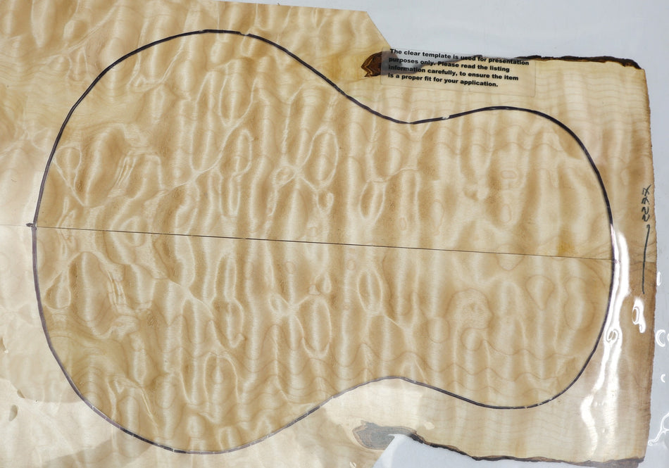 Back & Side set Maple Quilt Ukulele / Flat Mandolin (PREMIUM FIGURE) - Stock# 6-2277