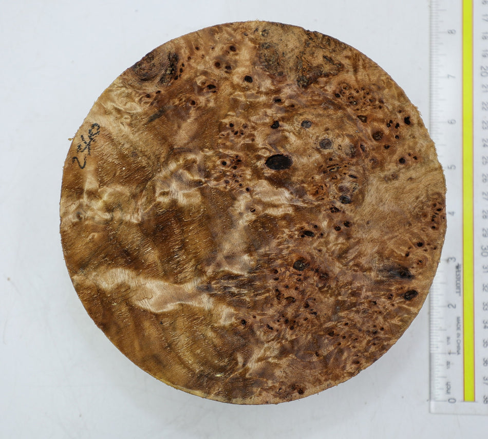 Cottonwood Burl Round 7" diameter x 3" (HIGH FIGURE) - Stock# 6-2340