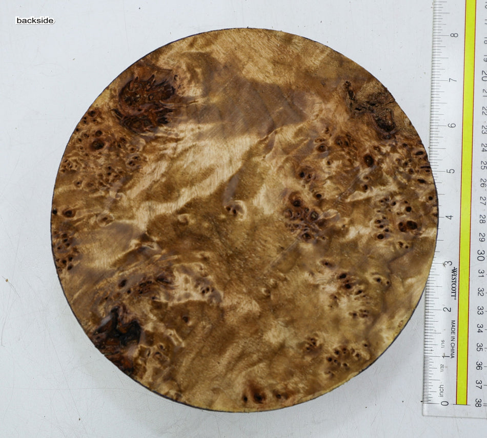 Cottonwood Burl Round 7" diameter x 3" (HIGH FIGURE) - Stock# 6-2340