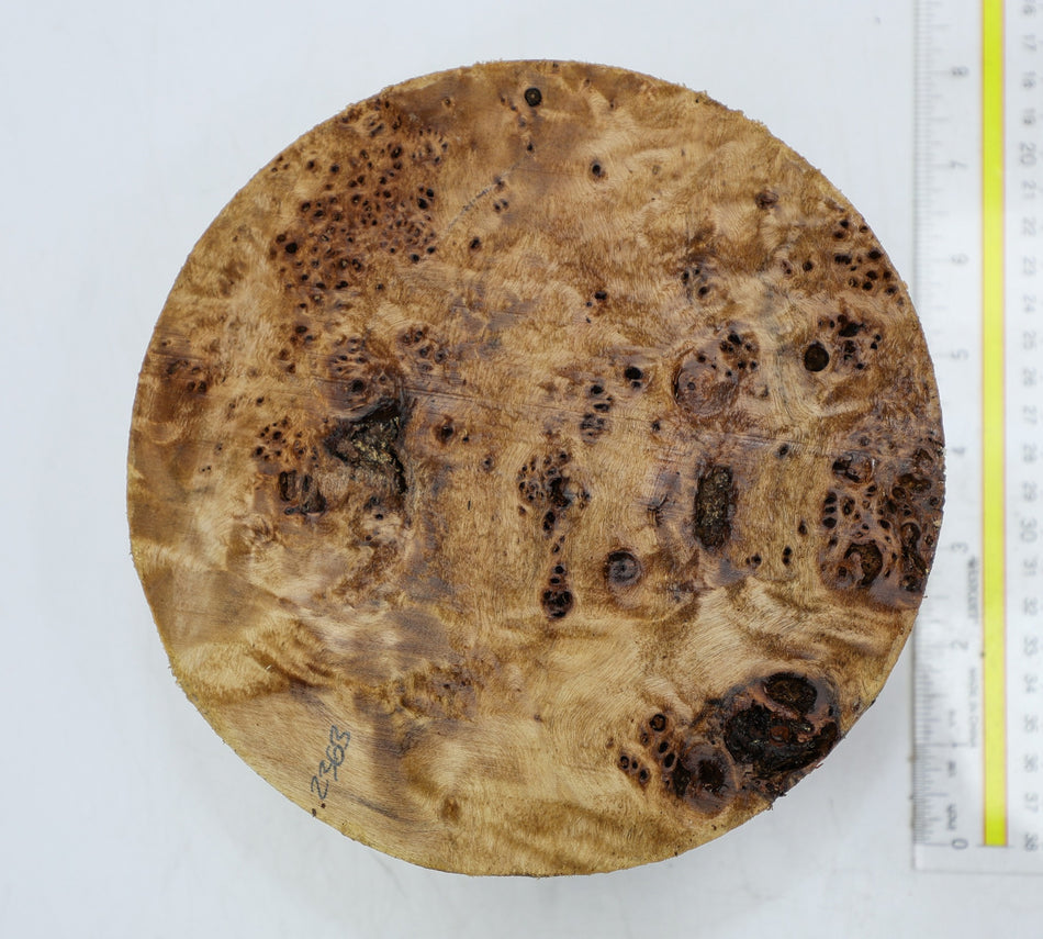 Cottonwood Burl Round 7" diameter x 3.2" (HIGH FIGURE) - Stock# 6-2363