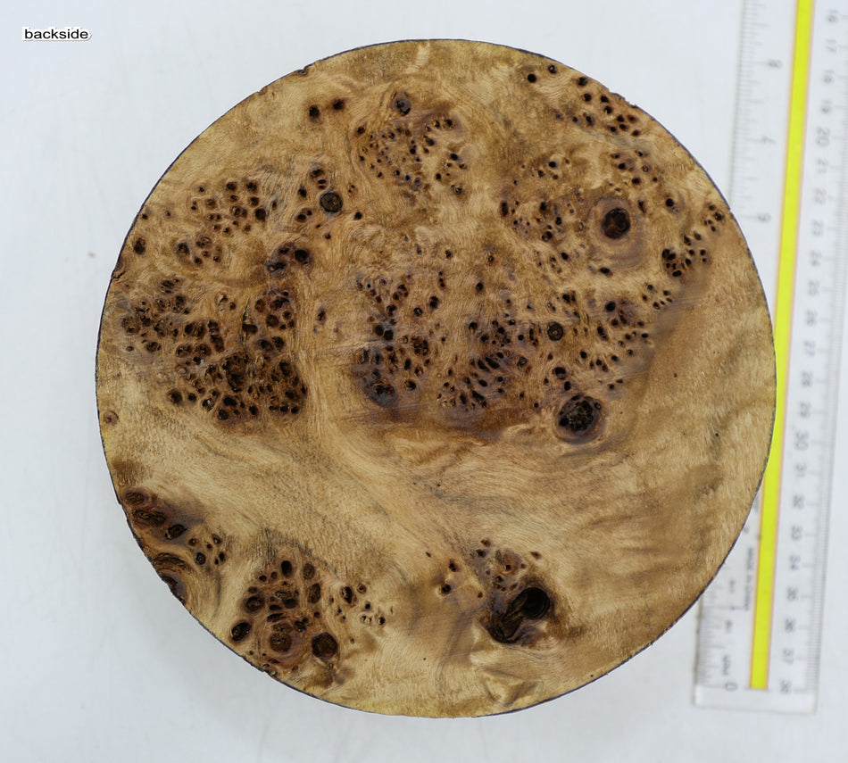 Cottonwood Burl Round 7" diameter x 3.2" (HIGH FIGURE) - Stock# 6-2363