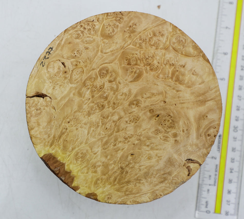 Maple Burl Round 6" diameter x 3.25" (HIGH FIGURE) - Stock# 6-2377