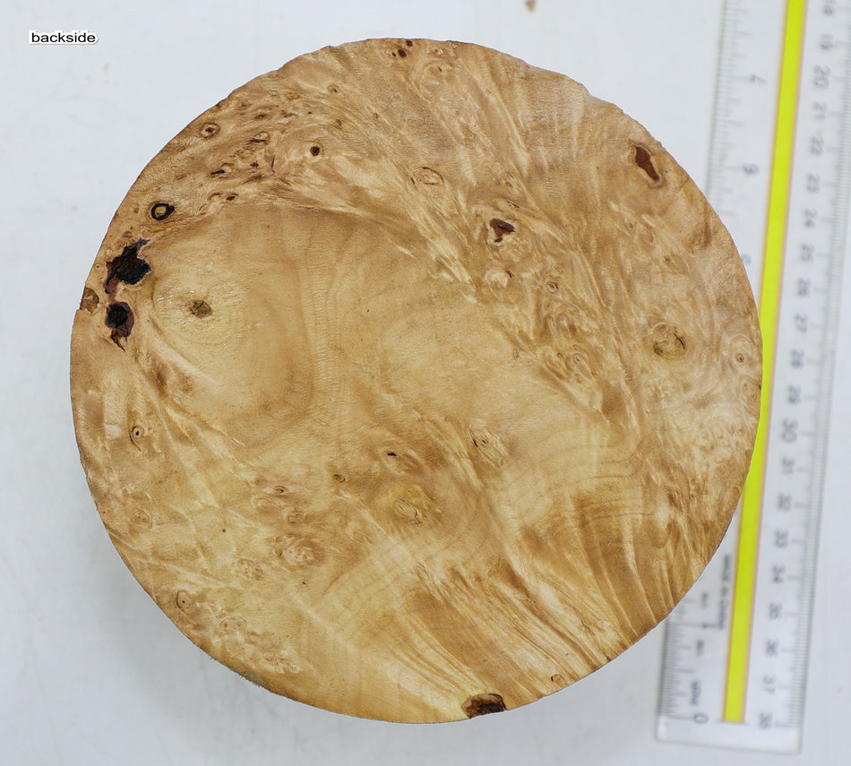 Maple Burl Round 6" diameter x 3.25" (HIGH FIGURE) - Stock# 6-2377