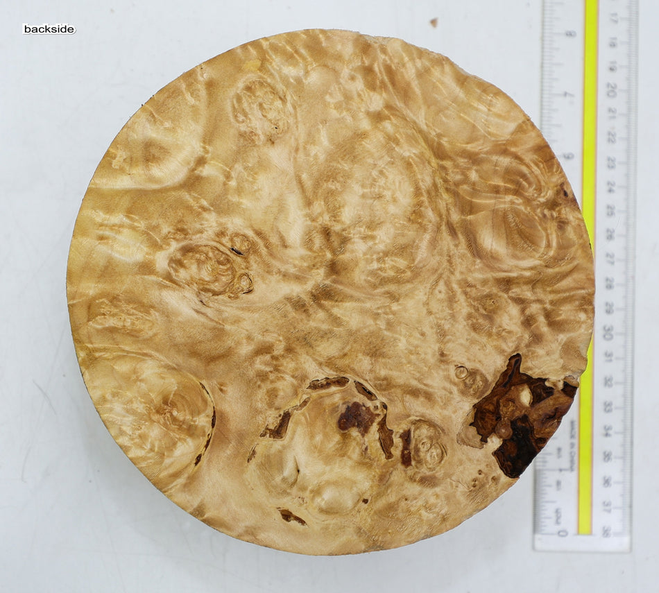 Maple Burl Round 7" diameter x 3.1" (HIGH FIGURE) - Stock# 6-2378