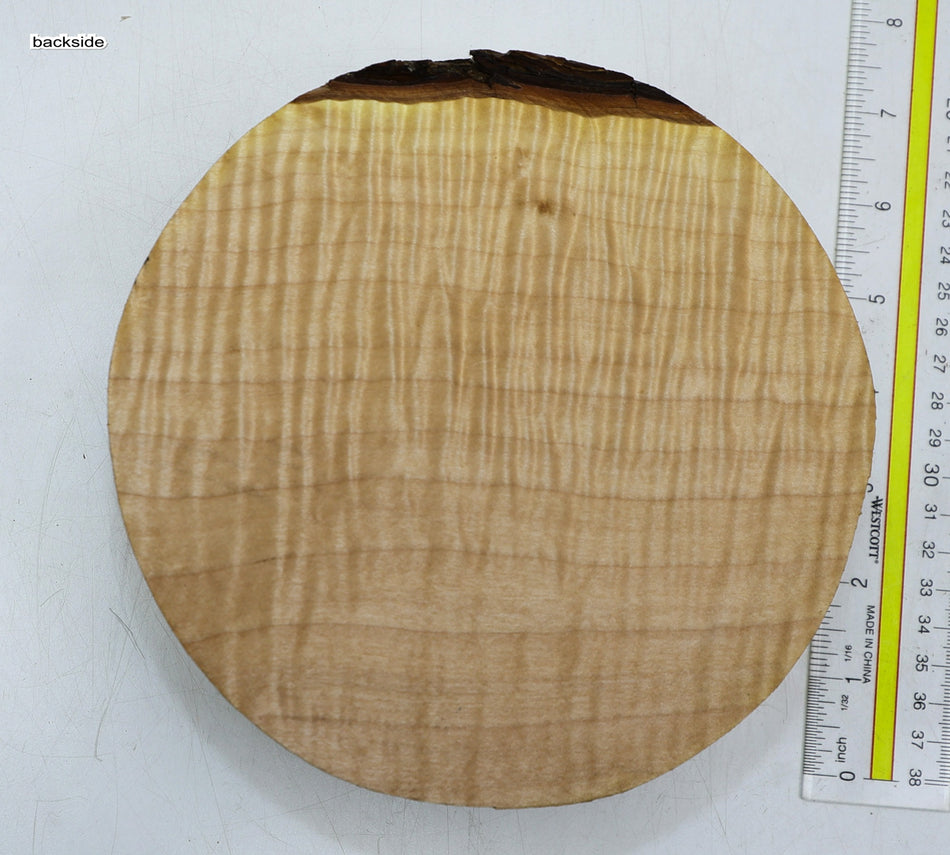 Maple Flame Round 7" diameter x 2.4" (PREMIUM FIGURE) - Stock# 6-2404