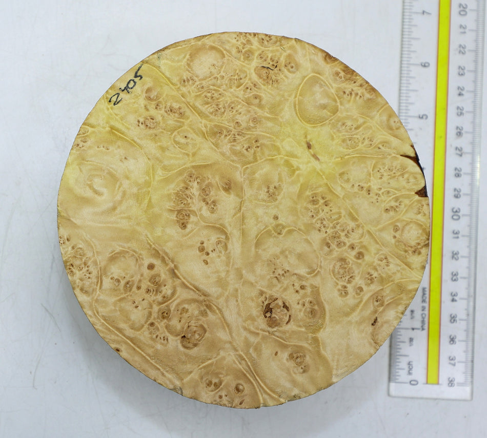 Maple Burl Round 6" diameter x 2.25" (PREMIUM FIGURE) - Stock# 6-2405