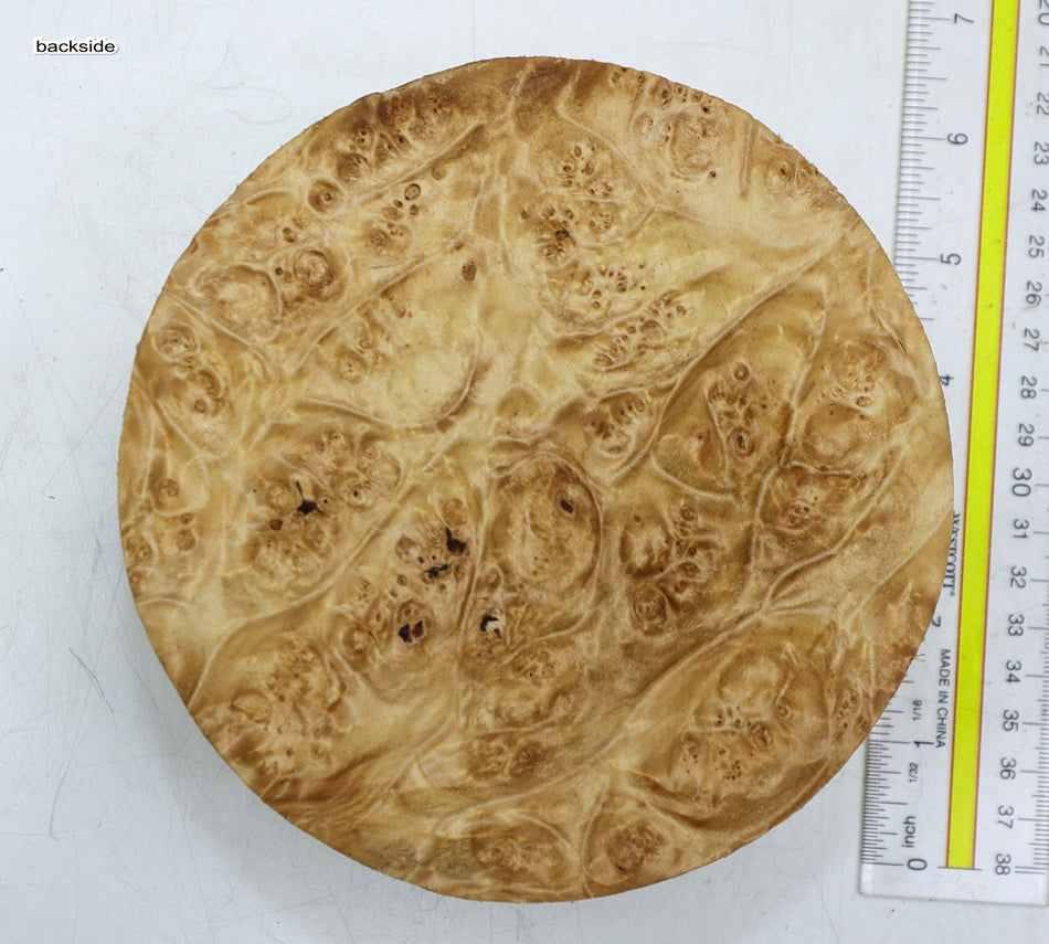 Maple Burl Round 6" diameter x 2.25" (PREMIUM FIGURE) - Stock# 6-2405