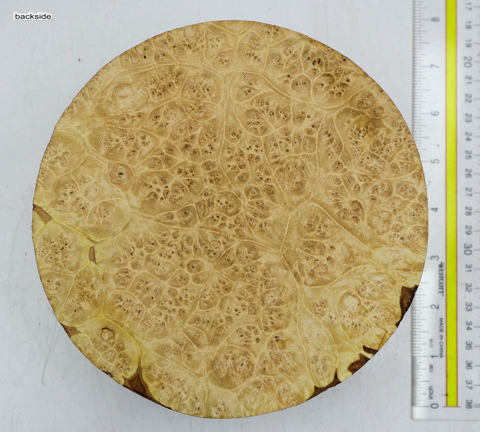 Maple Burl Round 7" diameter x 3" (PREMIUM FIGURE) - Stock# 6-2525