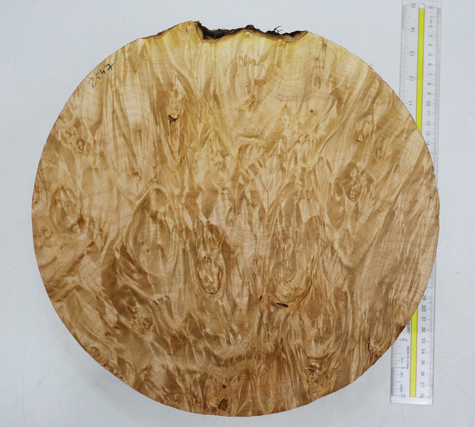 Maple Burl Round 12" diameter x 4.5" (HIGH FIGURE) - Stock# 6-2547