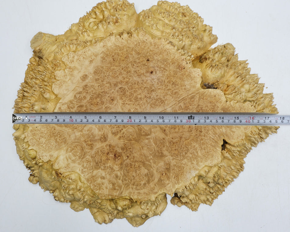 Maple Burl blocks, 2 pieces totaling 17" x 13" x 2.1" (PREMIUM FIGURE) - Stock# 6-2588