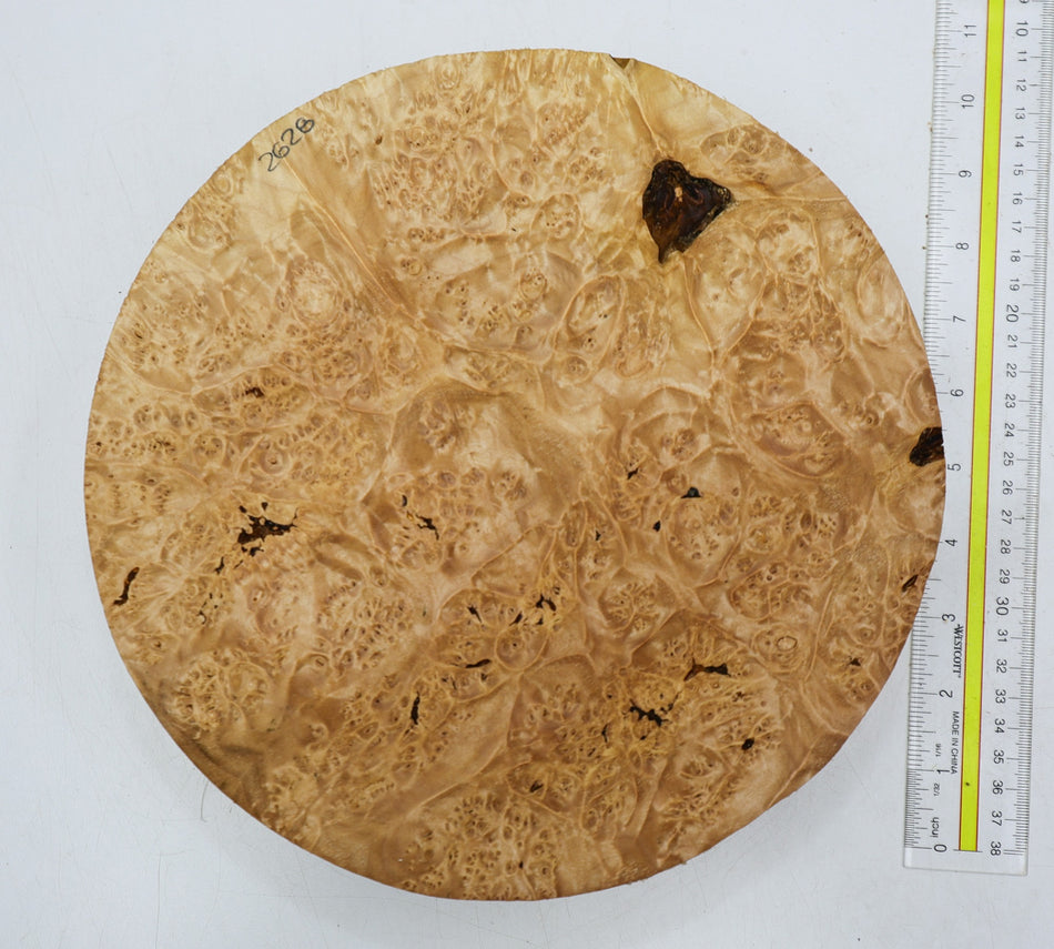 Maple Burl Round 10" diameter x 3.25" (HIGH FIGURE) - Stock# 6-2628