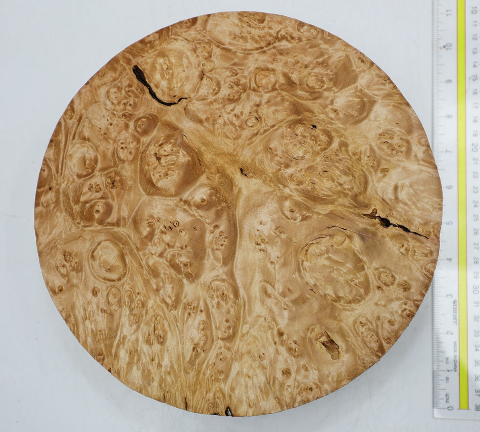 Maple Burl Round 10" diameter x 3.3" (PREMIUM FIGURE) - Stock# 6-2669