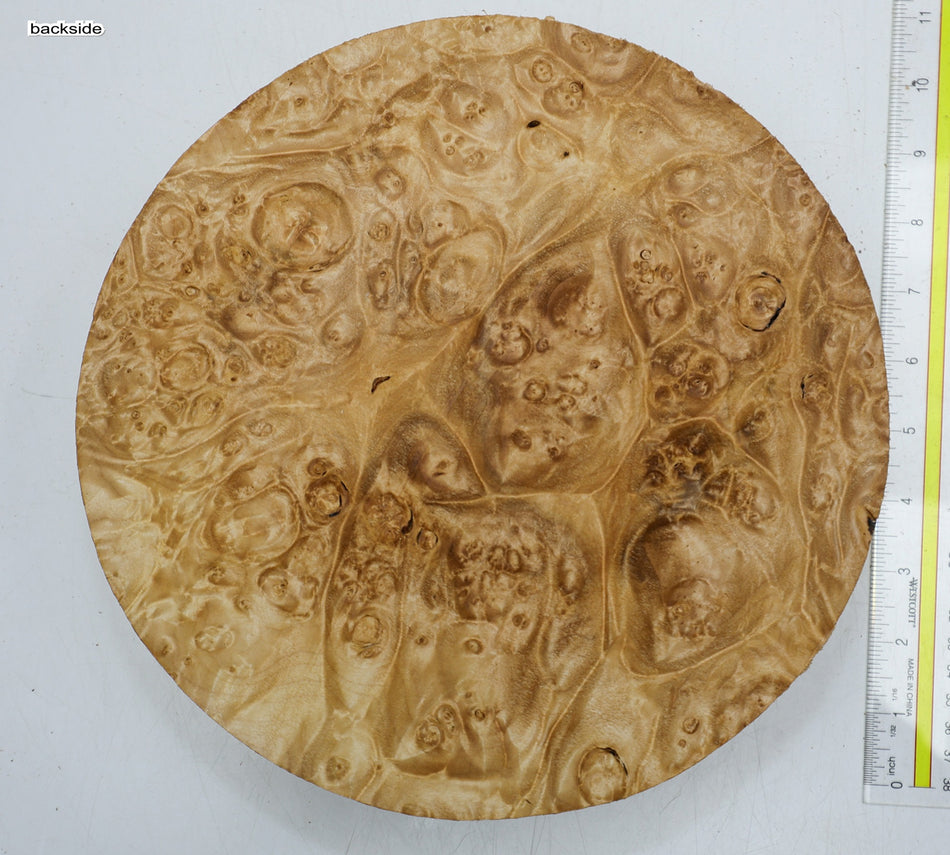 Maple Burl Round 10" diameter x 3.3" (PREMIUM FIGURE) - Stock# 6-2669