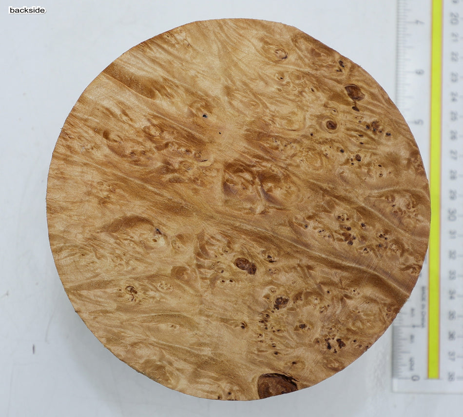 Maple Burl Round 6" diameter x 3.25" (PREMIUM FIGURE) - Stock# 6-2688