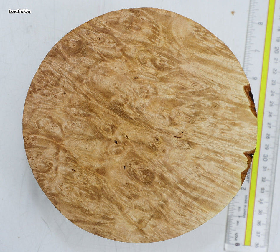 Maple Burl Round 7" diameter x 3" (HIGH FIGURE) - Stock# 6-3098
