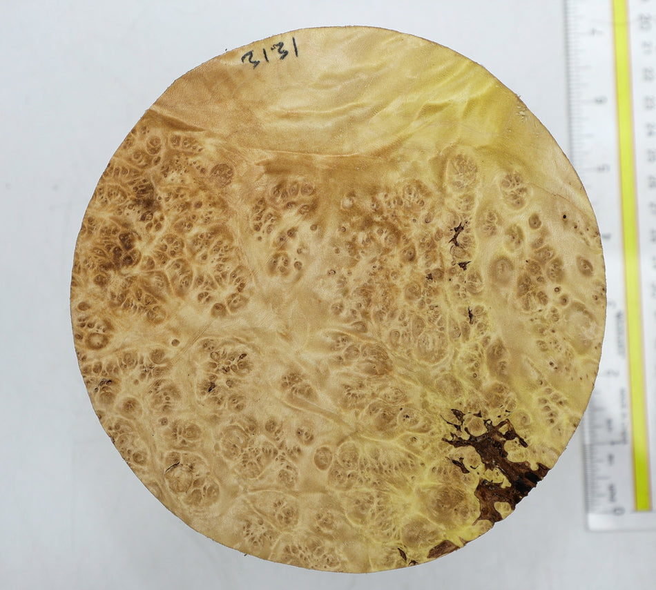 Maple Burl Round 6" diameter x 4.25" (HIGH FIGURE) - Stock# 6-3131