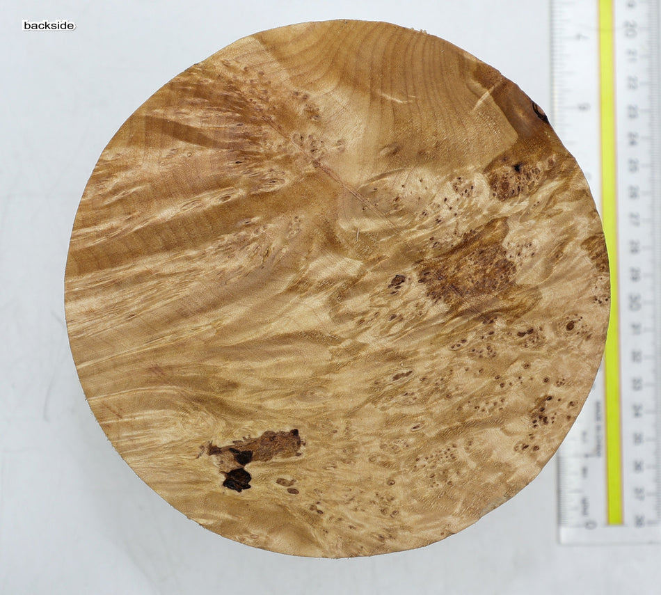Maple Burl Round 6" diameter x 4.25" (HIGH FIGURE) - Stock# 6-3131